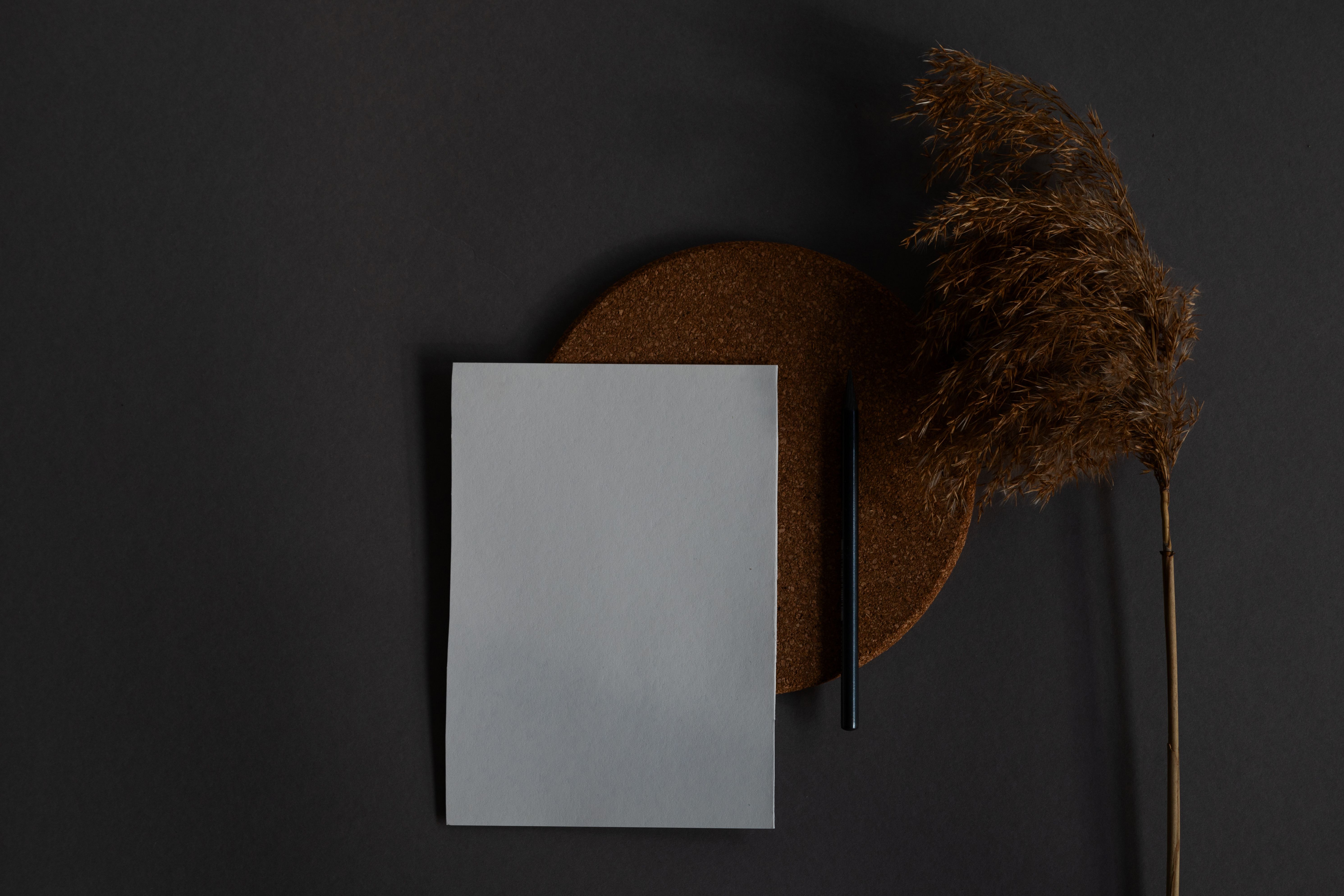 A blank card and pencil on a dark surface beside dried grasses
